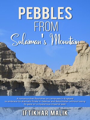 cover image of PEBBLES FROM SULAIMAN'S MOUNTAIN
